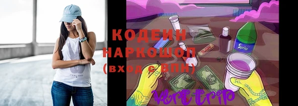скорость Вяземский