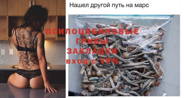 скорость Вяземский