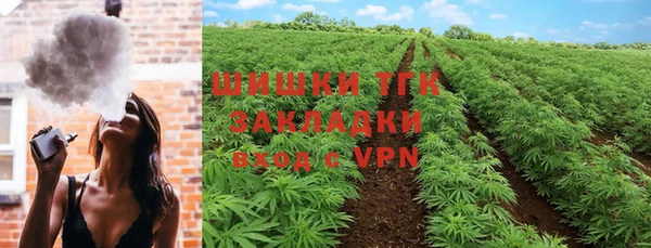 скорость Вяземский