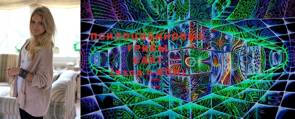 MDMA Premium VHQ Горнозаводск