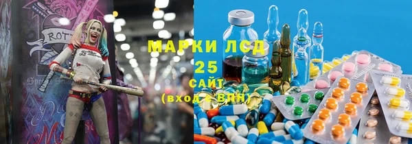 дживик Медвежьегорск