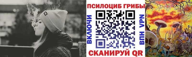 Галлюциногенные грибы мицелий  что такое наркотик  Невьянск 